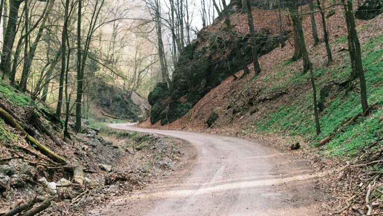 Dolor deleniti corrupti vitae